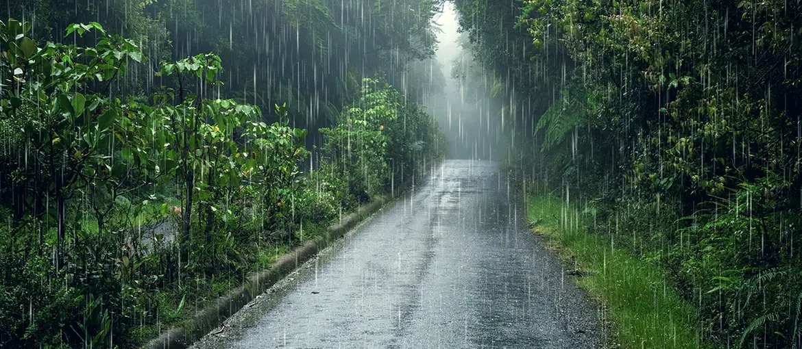 10 Fascinating Things to Know About Indian Monsoons